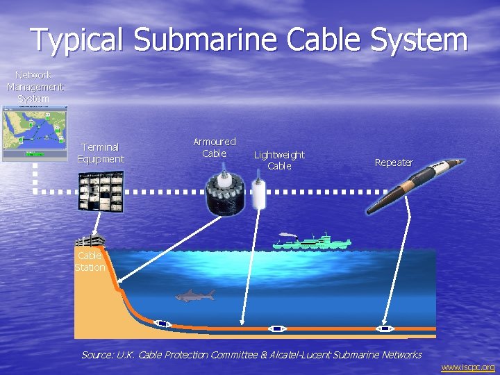 Typical Submarine Cable System Network Management System Terminal Equipment Armoured Cable Lightweight Cable Repeater
