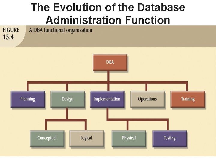 The Evolution of the Database Administration Function 