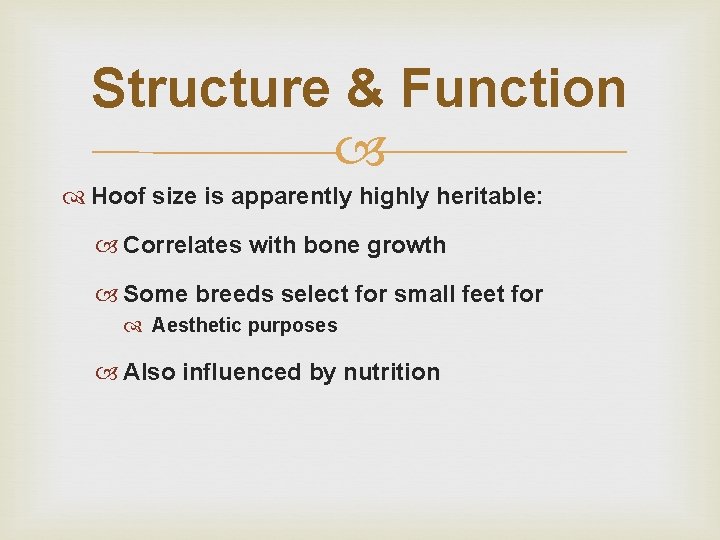 Structure & Function Hoof size is apparently highly heritable: Correlates with bone growth Some Structure & Function Hoof size is apparently highly heritable: Correlates with bone growth Some
