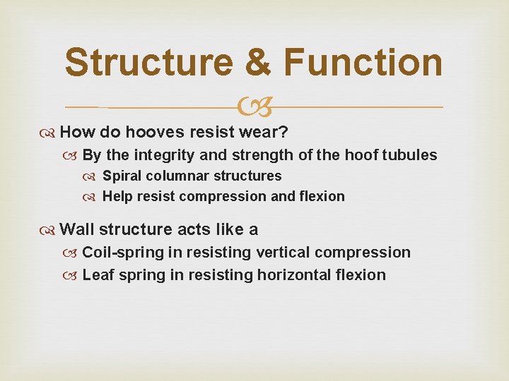 Structure & Function How do hooves resist wear? By the integrity and strength of Structure & Function How do hooves resist wear? By the integrity and strength of
