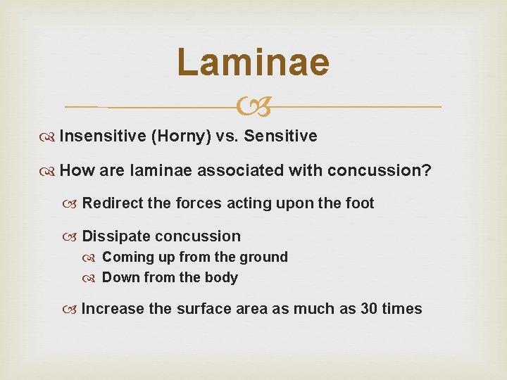 Laminae Insensitive (Horny) vs. Sensitive How are laminae associated with concussion? Redirect the forces Laminae Insensitive (Horny) vs. Sensitive How are laminae associated with concussion? Redirect the forces