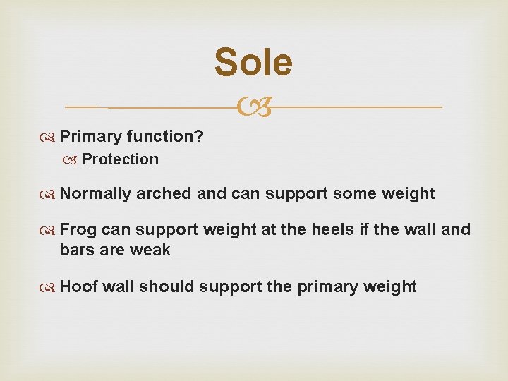 Sole Primary function? Protection Normally arched and can support some weight Frog can support Sole Primary function? Protection Normally arched and can support some weight Frog can support