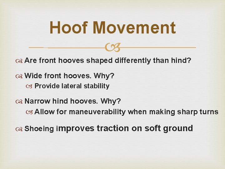 Hoof Movement Are front hooves shaped differently than hind? Wide front hooves. Why? Provide Hoof Movement Are front hooves shaped differently than hind? Wide front hooves. Why? Provide