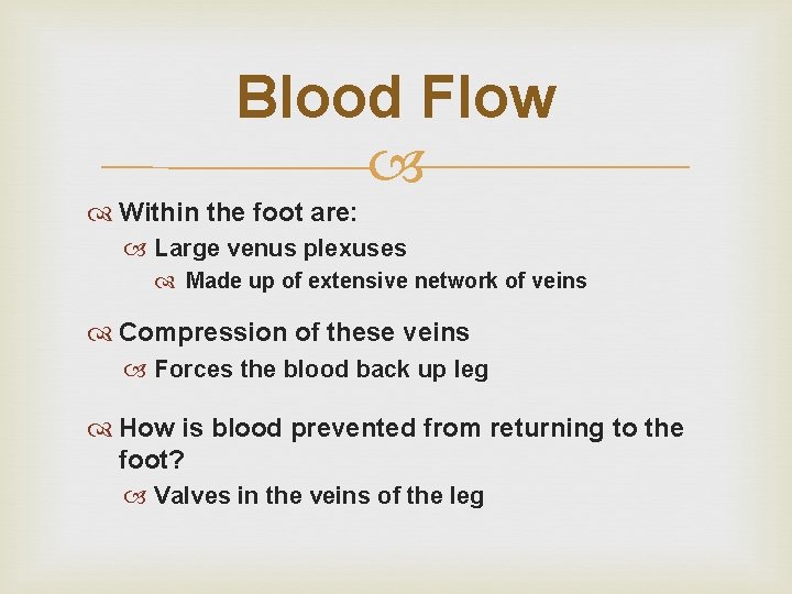 Blood Flow Within the foot are: Large venus plexuses Made up of extensive network Blood Flow Within the foot are: Large venus plexuses Made up of extensive network