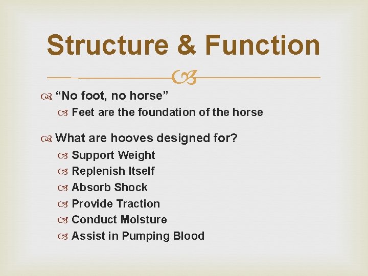 Structure & Function “No foot, no horse” Feet are the foundation of the horse Structure & Function “No foot, no horse” Feet are the foundation of the horse