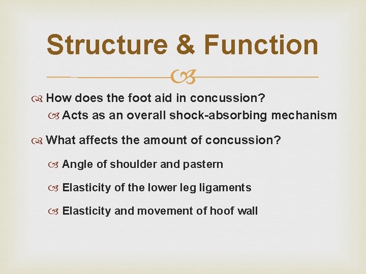 Structure & Function How does the foot aid in concussion? Acts as an overall Structure & Function How does the foot aid in concussion? Acts as an overall