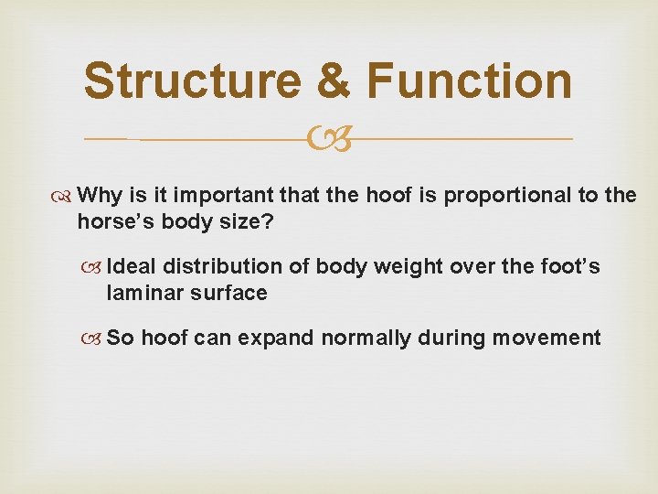 Structure & Function Why is it important that the hoof is proportional to the Structure & Function Why is it important that the hoof is proportional to the