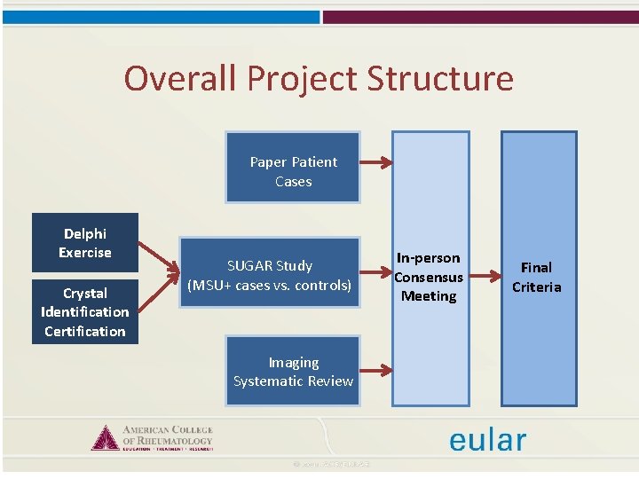 Overall Project Structure Paper Patient Cases Delphi Exercise Crystal Identification Certification SUGAR Study (MSU+