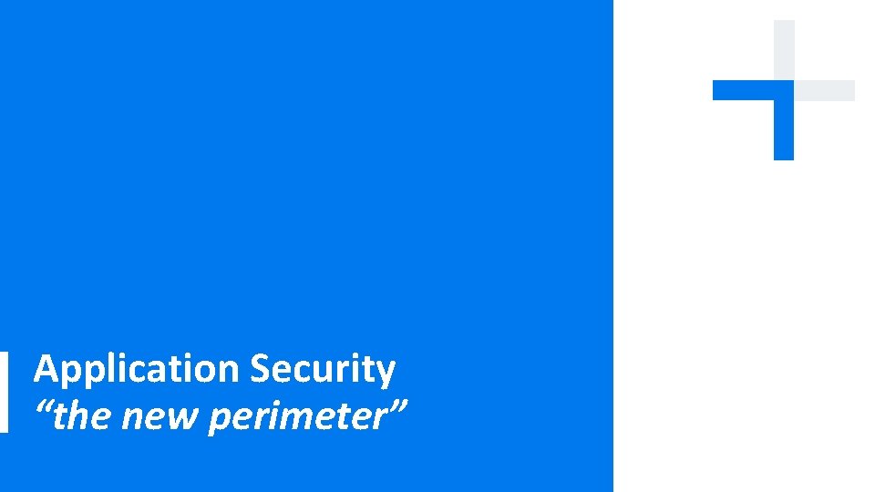 Application Security “the new perimeter” 