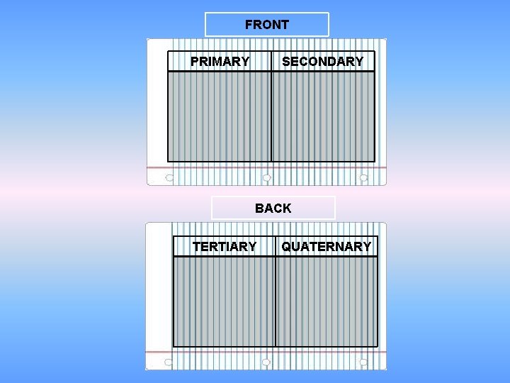 FRONT PRIMARY SECONDARY BACK TERTIARY QUATERNARY 