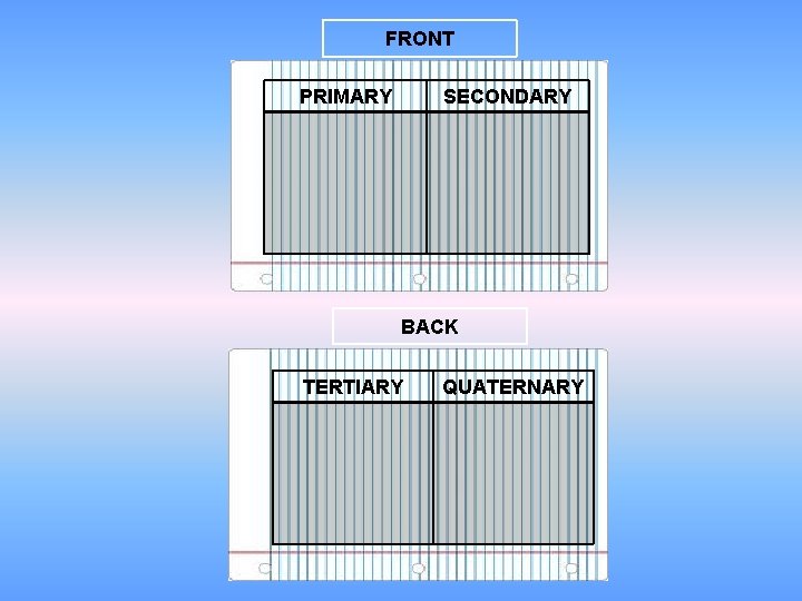 FRONT PRIMARY SECONDARY BACK TERTIARY QUATERNARY 