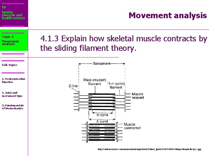 IB Sports, exercise and health science Topic 4 Movement analysis 4. 1. 3 Explain