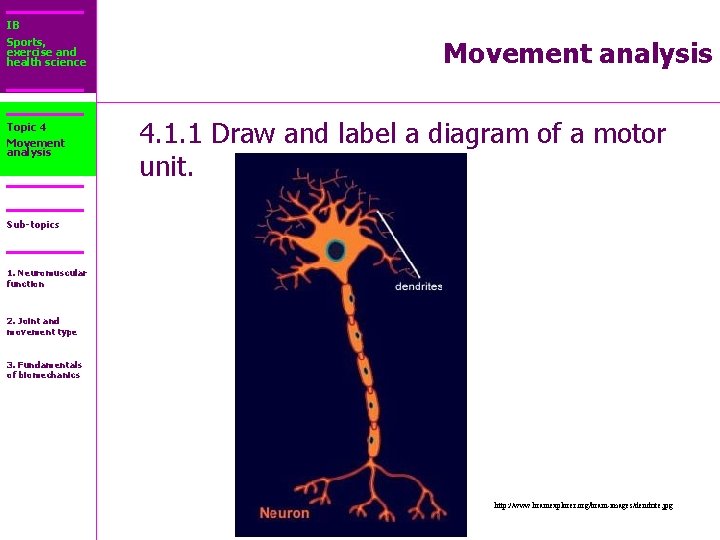 IB Sports, exercise and health science Topic 4 Movement analysis 4. 1. 1 Draw
