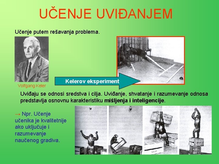 UČENJE UVIĐANJEM Učenje putem rešavanja problema. Volfgang Kelerov eksperiment Uviđaju se odnosi sredstva i