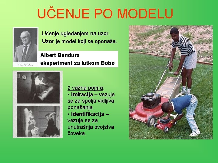 UČENJE PO MODELU Učenje ugledanjem na uzor. Uzor je model koji se oponaša. Albert