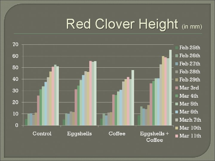 Red Clover Height (in mm) 