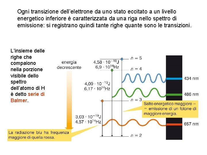 Ogni transizione dell’elettrone da uno stato eccitato a un livello energetico inferiore è caratterizzata