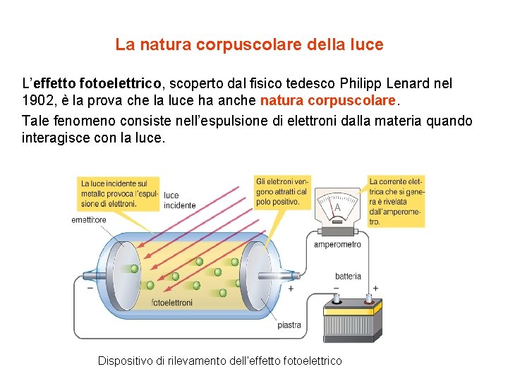 La natura corpuscolare della luce L’effetto fotoelettrico, scoperto dal fisico tedesco Philipp Lenard nel