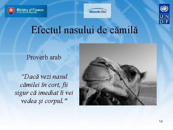 Efectul nasului de cămilă Proverb arab “Dacă vezi nasul cămilei în cort, fii sigur