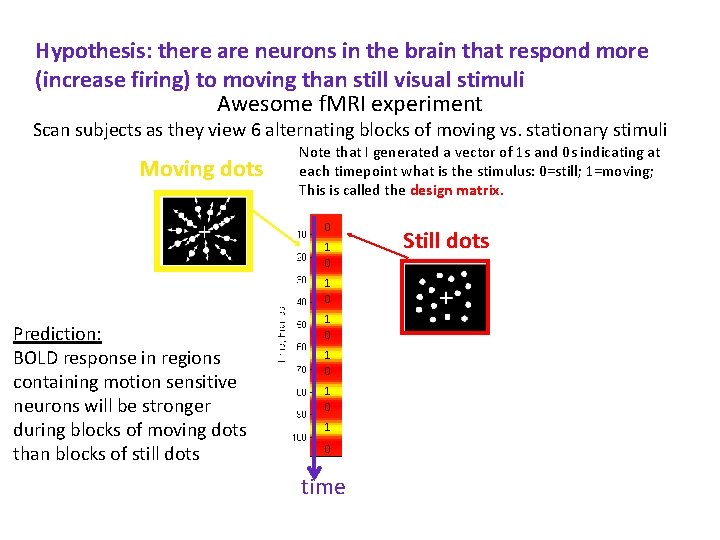 Hypothesis: there are neurons in the brain that respond more (increase firing) to moving