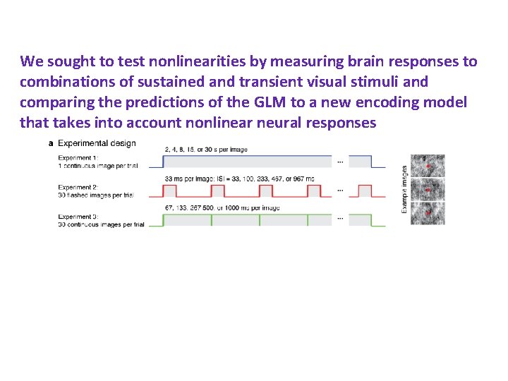 We sought to test nonlinearities by measuring brain responses to combinations of sustained and