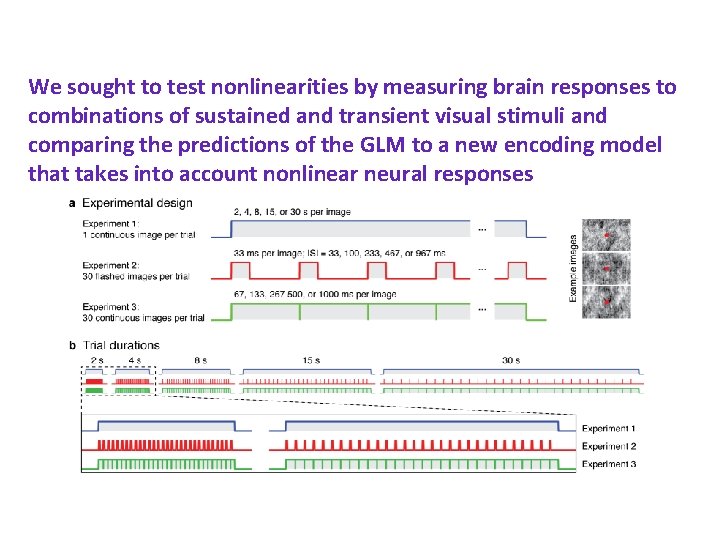 We sought to test nonlinearities by measuring brain responses to combinations of sustained and