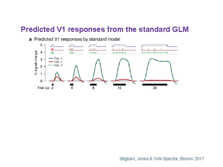 Predicted V 1 responses from the standard GLM Stigliani, Jeska & Grill-Spector, Biorxiv 2017