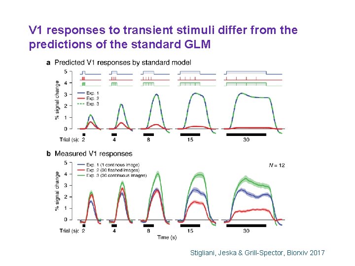 V 1 responses to transient stimuli differ from the predictions of the standard GLM