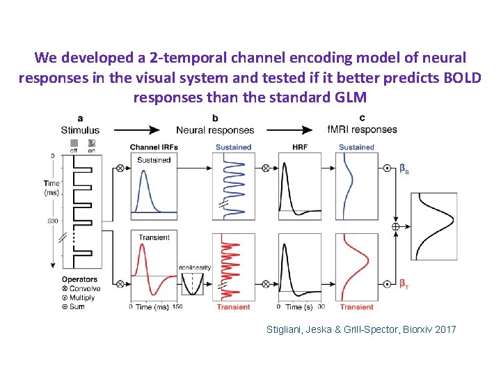 We developed a 2 -temporal channel encoding model of neural responses in the visual