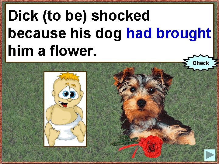 Dick (to be) shocked because his dog (to hadbring) brought him a flower. Check