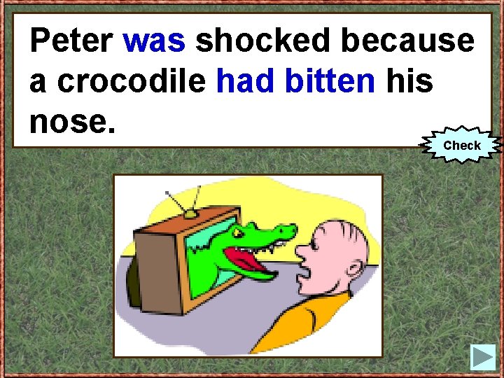 Peter was because Peter (toshocked be) shocked a crocodile bitten his because had a