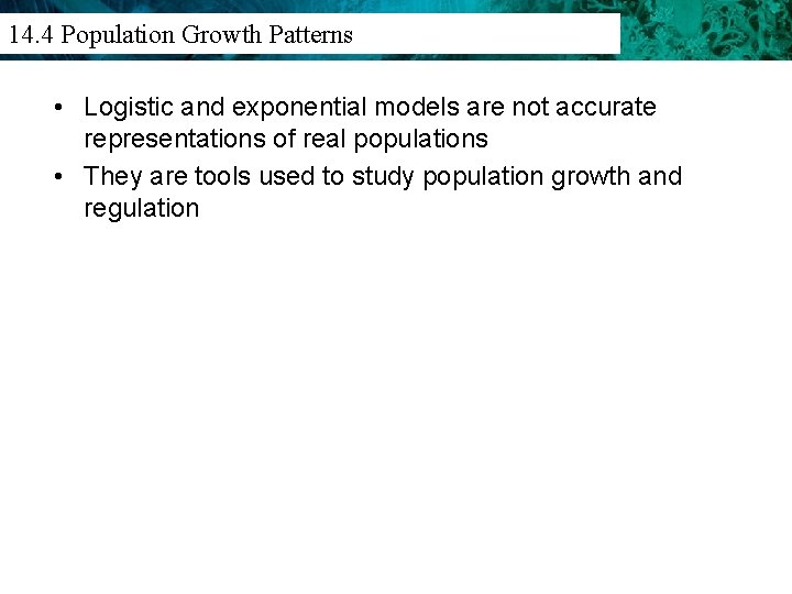14. 3 Population Density 14. 4 Population Growth Patterns And Distribution • Logistic and