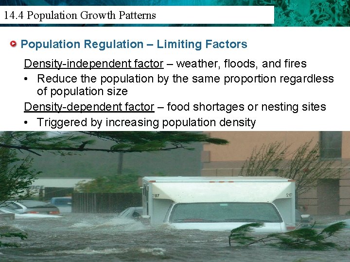 14. 3 Population Density 14. 4 Population Growth Patterns And Distribution Population Regulation –