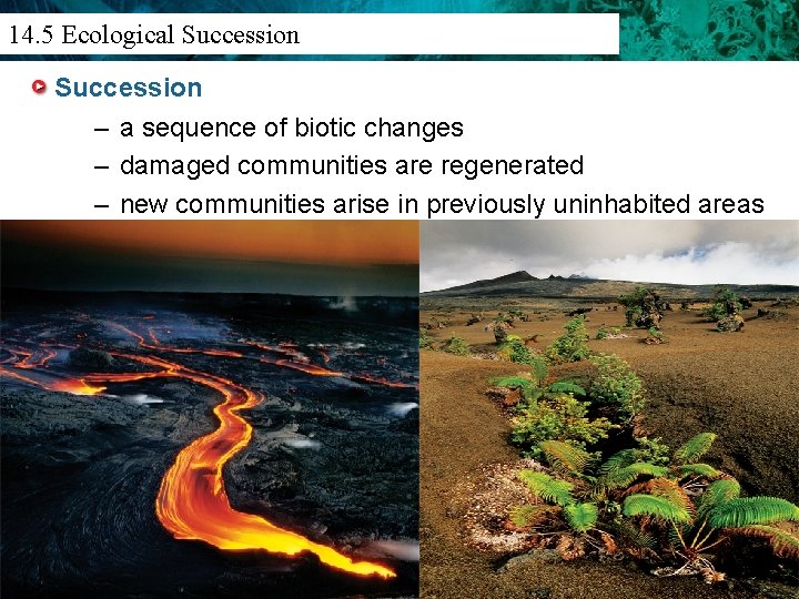 14. 3 Population Density And Distribution 14. 5 Ecological Succession – a sequence of