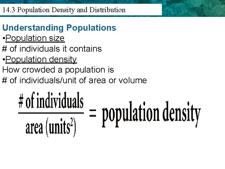 13. 1 Population Ecologists Study Relationships 14. 3 Density and Distribution Understanding Populations •