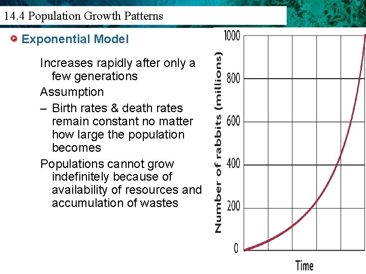 14. 3 Population Density 14. 4 Population Growth Patterns And Distribution Exponential Model Increases