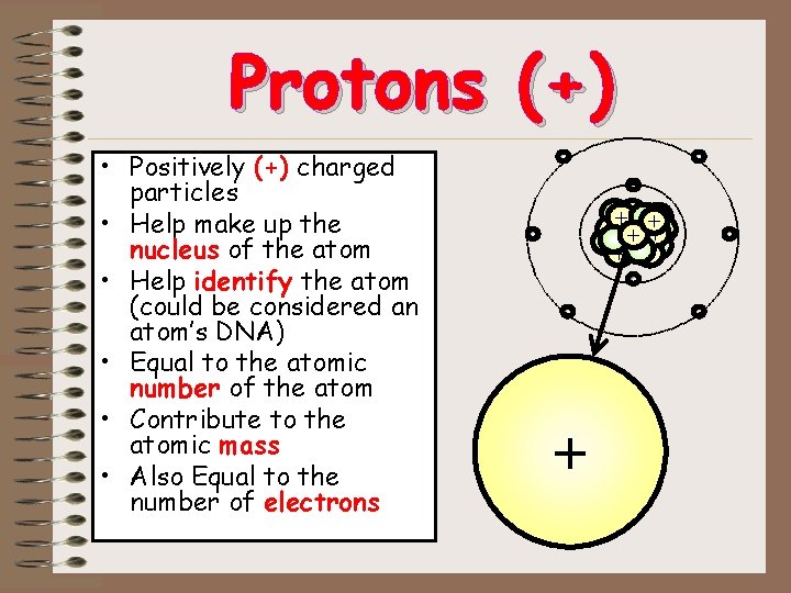Protons (+) • Positively (+) charged particles • Help make up the nucleus of Protons (+) • Positively (+) charged particles • Help make up the nucleus of