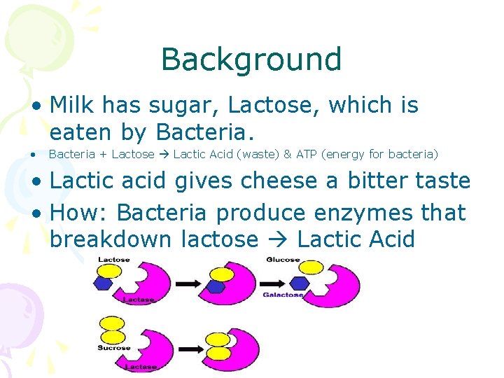 Background • Milk has sugar, Lactose, which is eaten by Bacteria. • Bacteria +