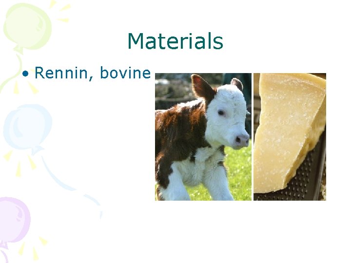 Materials • Rennin, bovine 