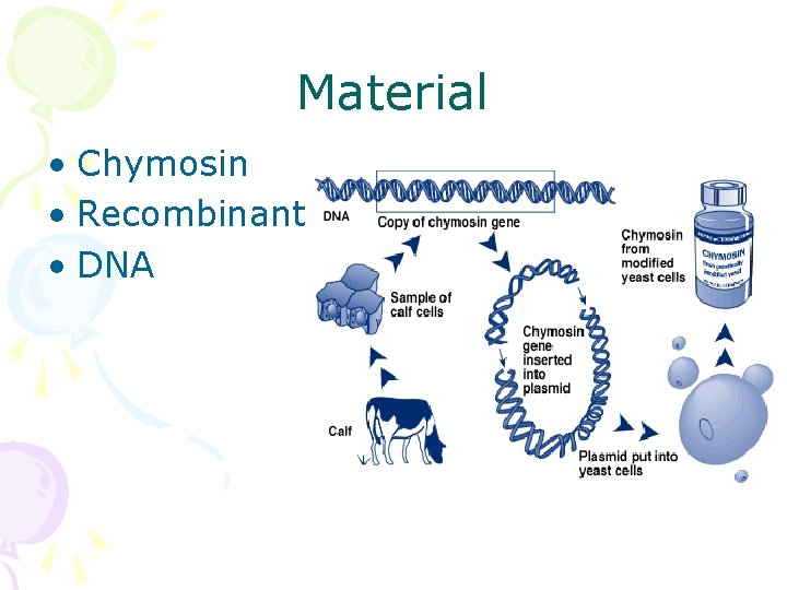 Material • Chymosin • Recombinant • DNA 