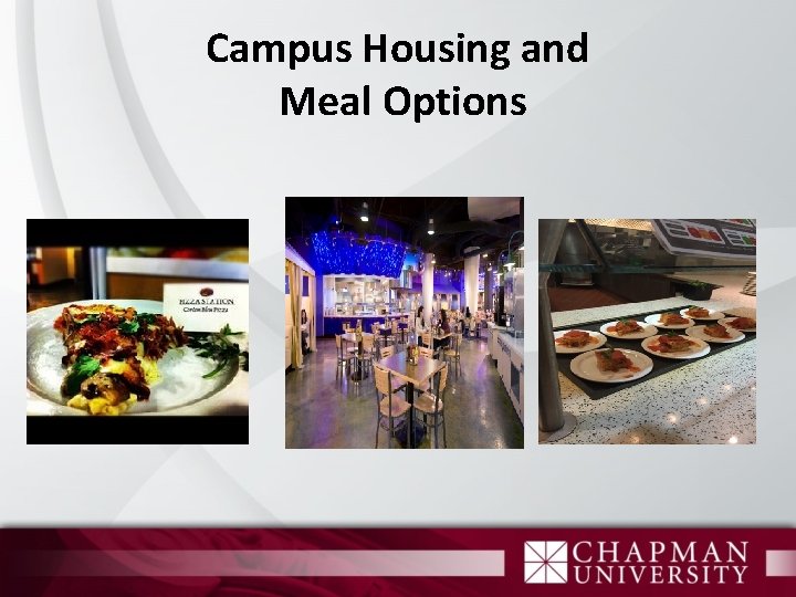 Campus Housing and Meal Options 