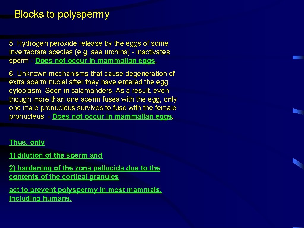 Blocks to polyspermy 5. Hydrogen peroxide release by the eggs of some invertebrate species