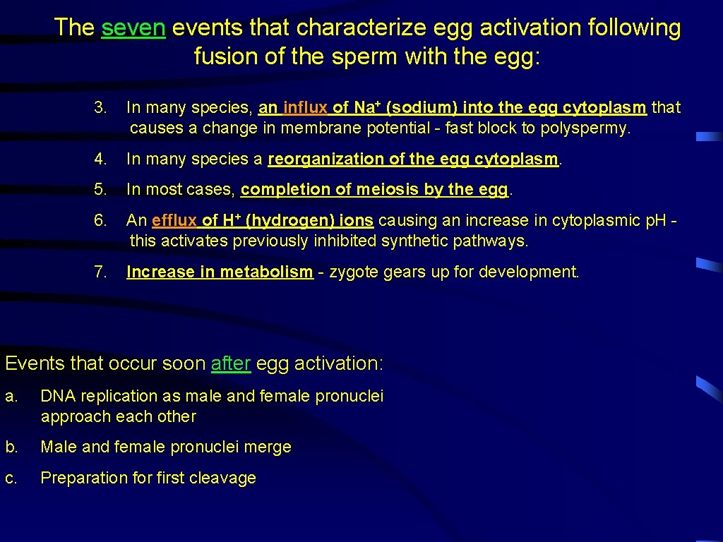 The sevents that characterize egg activation following fusion of the sperm with the egg: