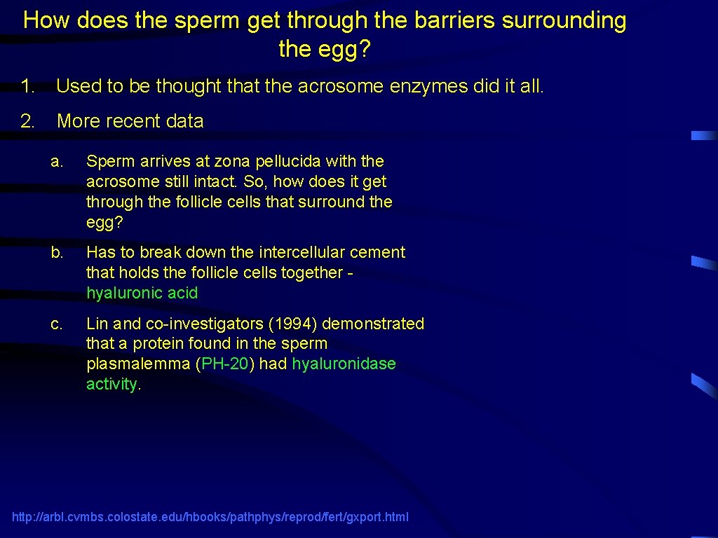 How does the sperm get through the barriers surrounding the egg? 1. Used to