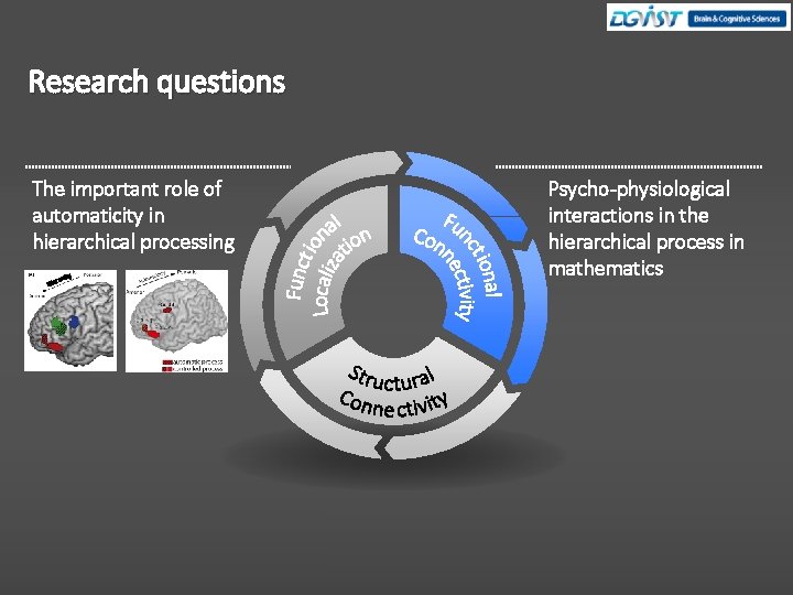 Research questions The important role of automaticity in hierarchical processing hy rarc Hie Psycho-physiological