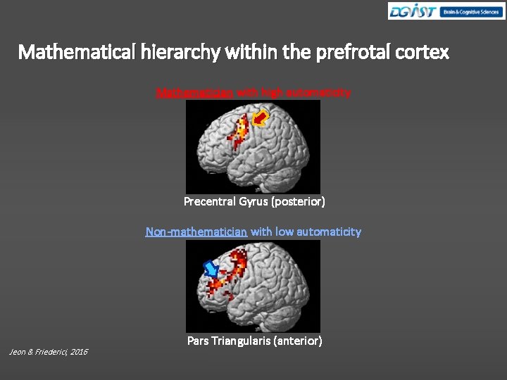 Mathematical hierarchy within the prefrotal cortex Mathematician with high automaticity Precentral Gyrus (posterior) Non-mathematician