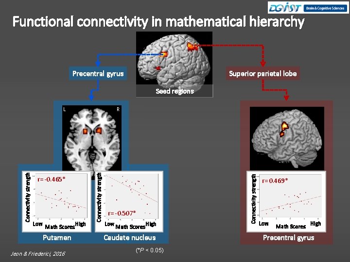 Functional connectivity in mathematical hierarchy Precentral gyrus Superior parietal lobe Seed regions r= -0.
