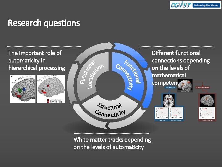 Research questions The important role of automaticity in hierarchical processing Different functional connections depending