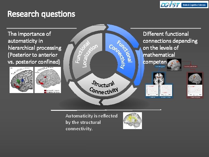Research questions Different functional connections depending on the levels of mathematical competence The importance