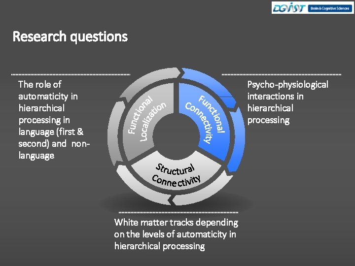 Research questions The role of automaticity in hierarchical processing in language (first & second)
